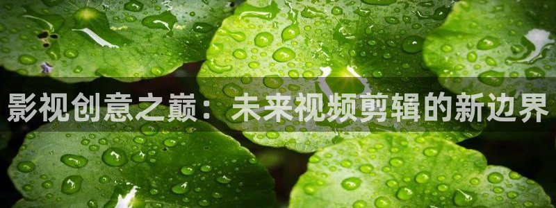 璀璨人生星辰影视