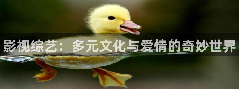 星辰影院在线电影