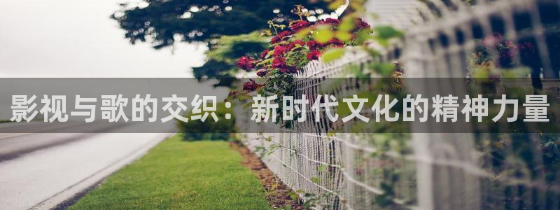 星辰影院在线观看免费观看电视剧