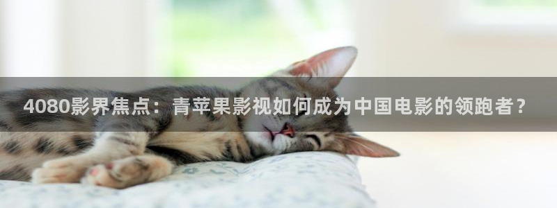 奔跑吧第十二季星辰影院
