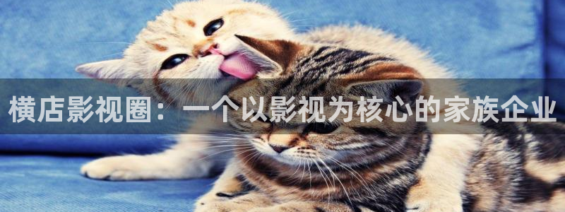 长乐曲电视剧免费观看星辰影院