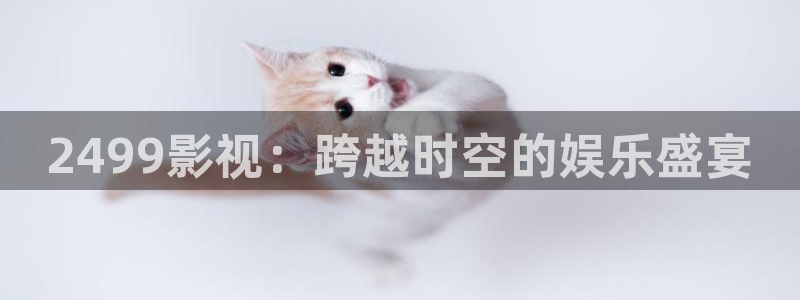 星辰影院手机免费观看电视剧