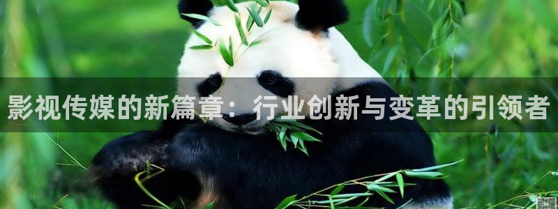 难哄电视剧免费观看星辰影视