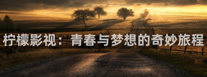 星辰影院大全网免费版本