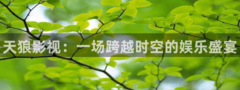 星辰影视在线观看完整版