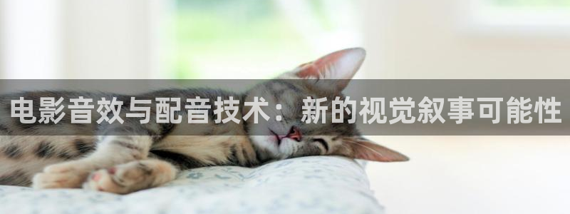 水浒传星辰影院