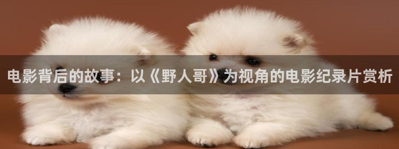 妈妈的朋友在线观看星辰影院