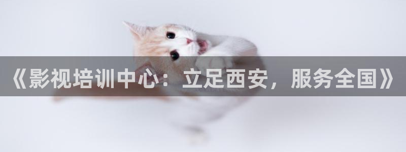骄阳伴我星辰影院免费观看