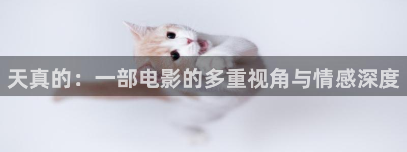 大梦归离电视剧星辰影院免费观看