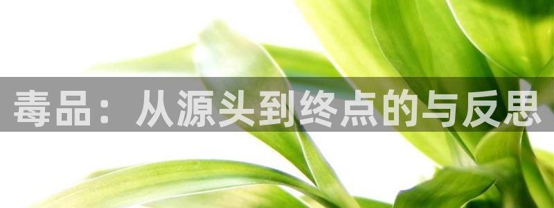 《如懿传》在线观看星辰影院