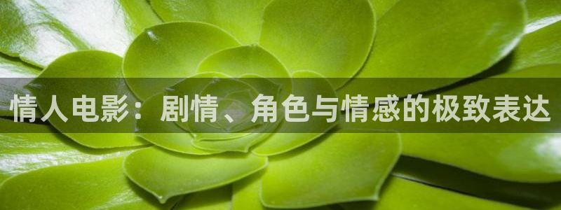 难哄电视剧免费高清观看星辰影院