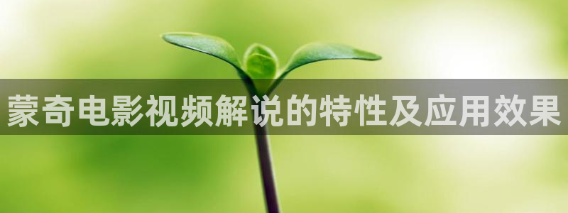 简言的夏冬星辰影院