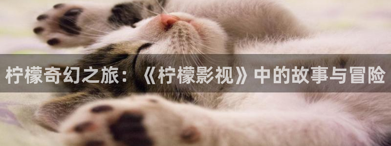 我的阿勒泰电视剧免费观看星辰影院