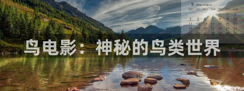 幸福到万家电视剧免费观看完整版星辰影院：鸟电影：神秘的鸟类世界
