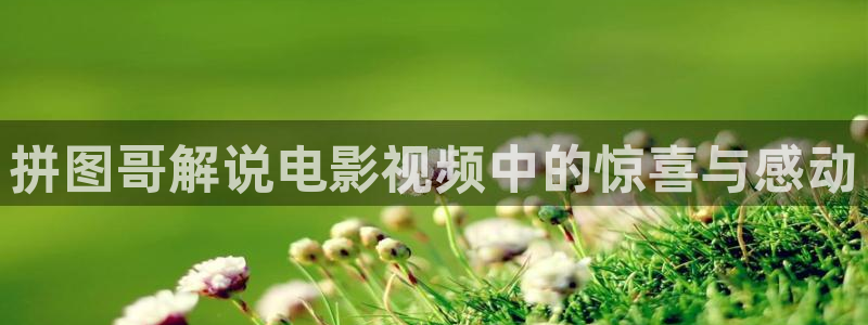 星辰影视老版本：拼图哥解说电影视频中的惊喜与感动