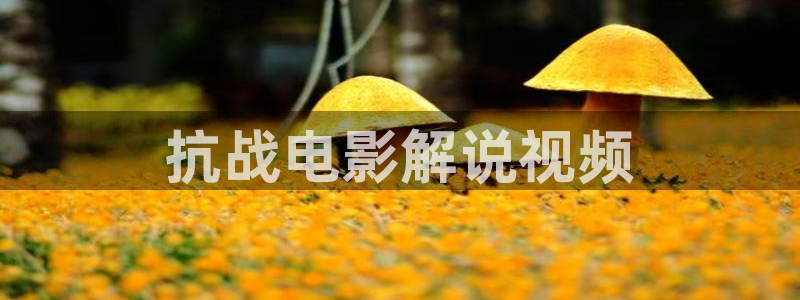 神马影院我不卡星辰：抗战电影解说视频