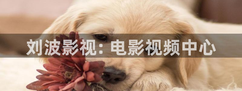 临江仙电视剧星辰影院在线观看：刘波影视: 电影视频中心