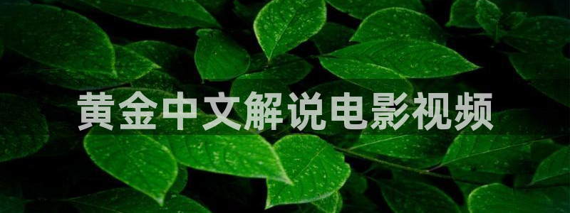电视剧在线观看星辰影院：黄金中文解说电影视频