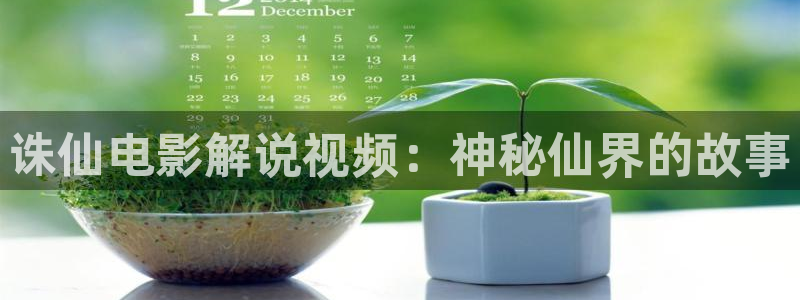 如此可爱的我们星辰影院：诛仙电影解说视频：神秘仙界的故事