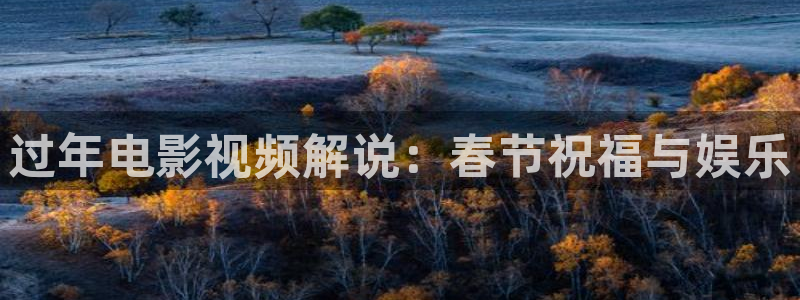 星辰影院永久免费：过年电影视频解说：春节祝福与娱乐