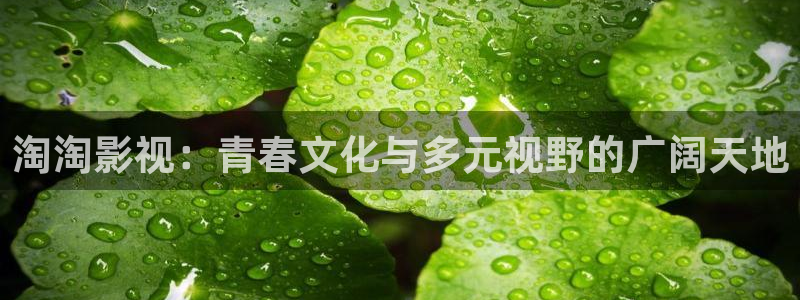 七夜雪电视剧星辰影院：淘淘影视：青春文化与多元视野的广阔天地