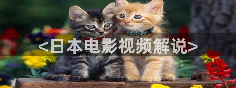 狂飙电视剧星辰影院高清：<日本电影视频解说>