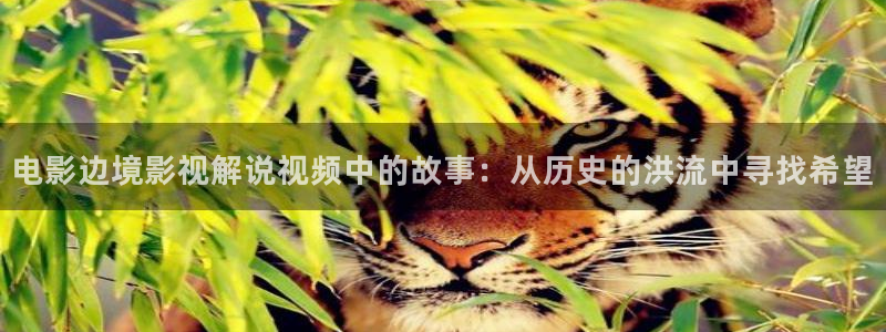 九重紫星辰影院免费观看：电影边境影视解说视频中的故事：从历史的洪流中寻找希望
