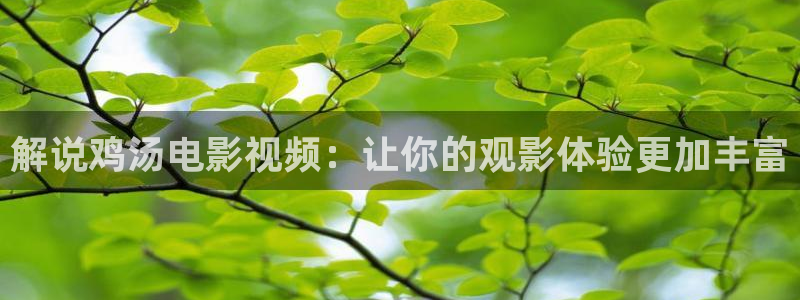 霜花店电影完整版在线观看星辰影院：解说鸡汤电影视频：让你的观影体验更加丰富