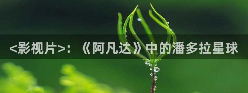 乘风2025第六季在线观看免费星辰影院：<影视片>：《阿凡达》中的潘多拉星球