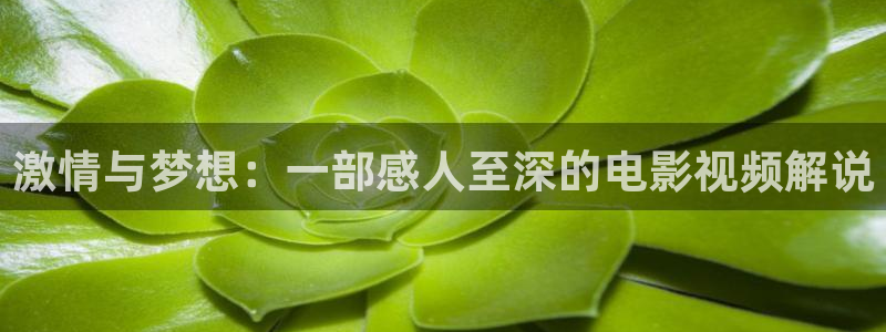 极限挑战第三季星辰影院：激情与梦想：一部感人至深的电影视频解说