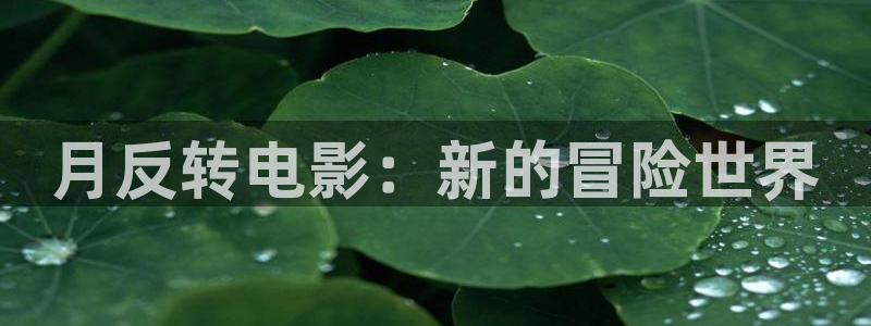 迪迦奥特曼星辰影院：月反转电影：新的冒险世界