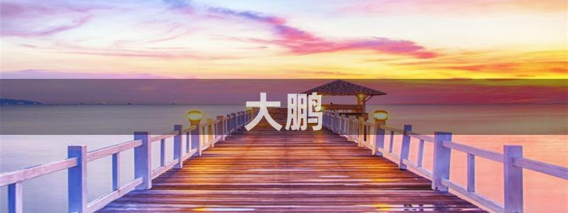 大梦归离免费观看星辰影院：大鹏