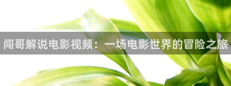 星辰影院动漫：闯哥解说电影视频：一场电影世界的冒险之旅