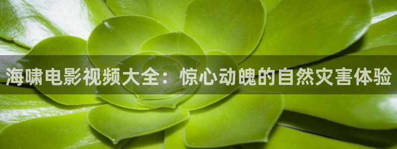 妈妈的朋友星辰影院在线观看：海啸电影视频大全：惊心动魄的自然灾害体验