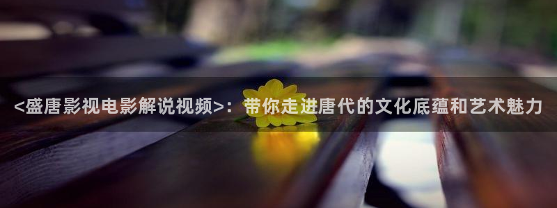 难哄星辰影院在线播放：<盛唐影视电影解说视频>：带你走进唐代的文化底蕴和艺术魅力