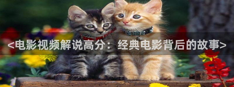 免费电视剧大全星辰影院