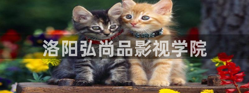 星辰影院锦衣之下