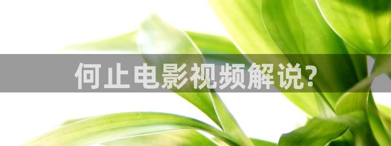 知否知否知否应是绿肥红瘦免费观看星辰影院