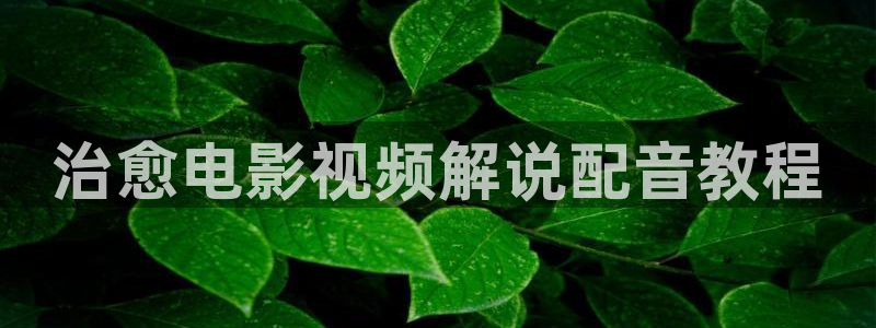 神马星辰电影网