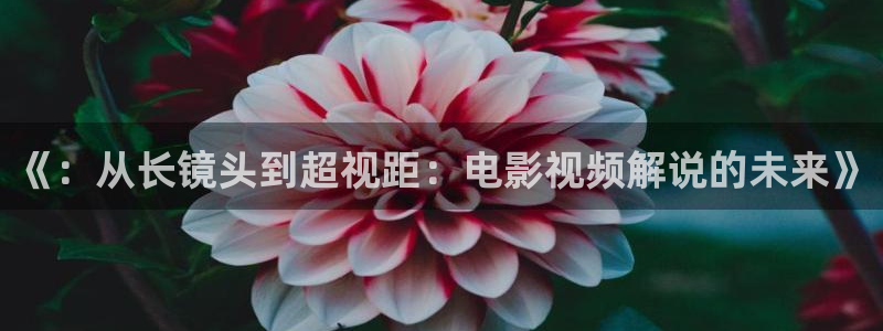 星辰影视旧版