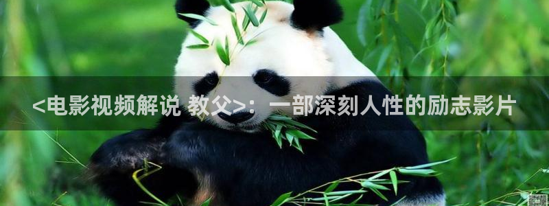 光渊9到30集星辰影院