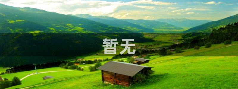 玫瑰的故事电视剧免费观看全集高清星辰影视
