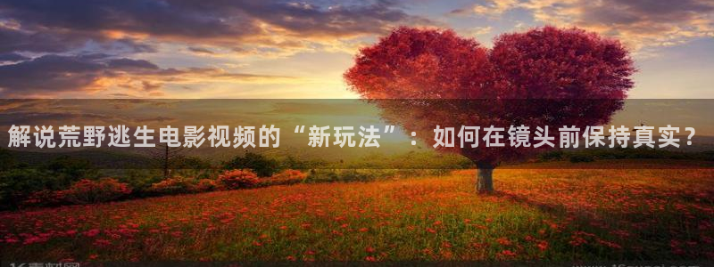星辰影视在线观看影片