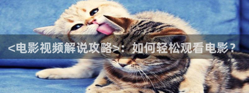 星辰影院免费播放电视剧大全
