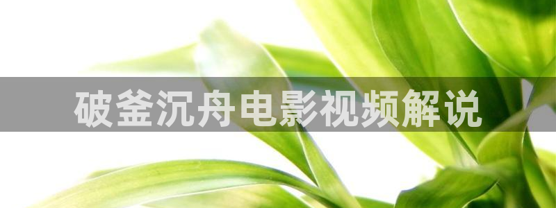 星辰影院网页版