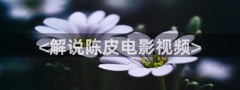 星辰影院地址