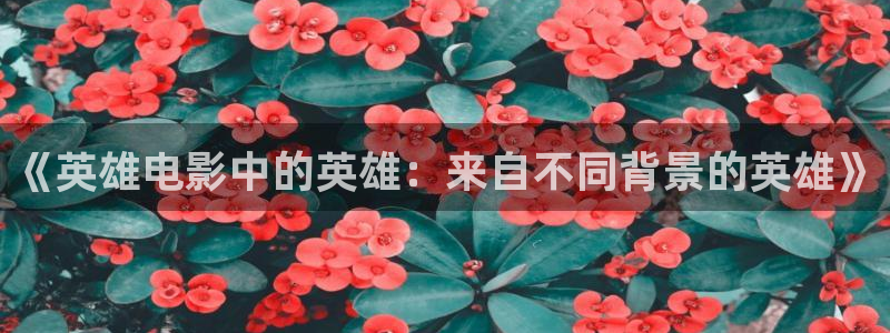 星辰影视入口