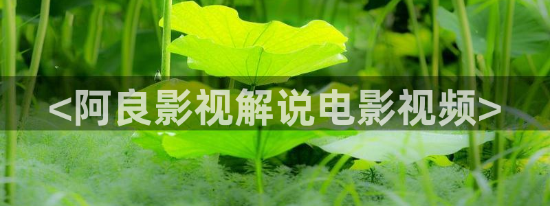 值得爱电视剧完整版在线观看高清星辰影院