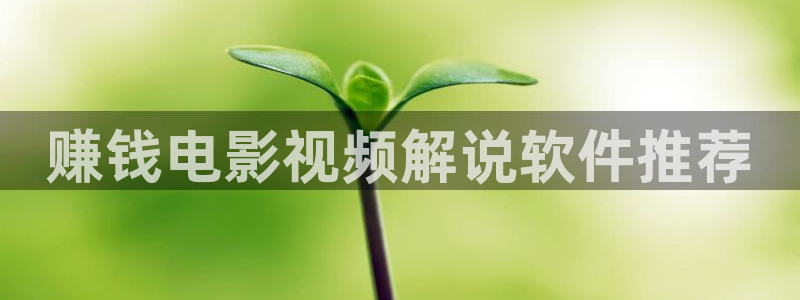 孤注一掷星辰影院免费观看