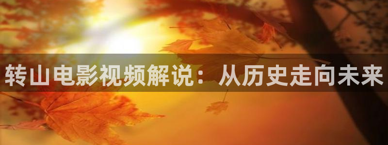 了不起的儿科医生星辰影视